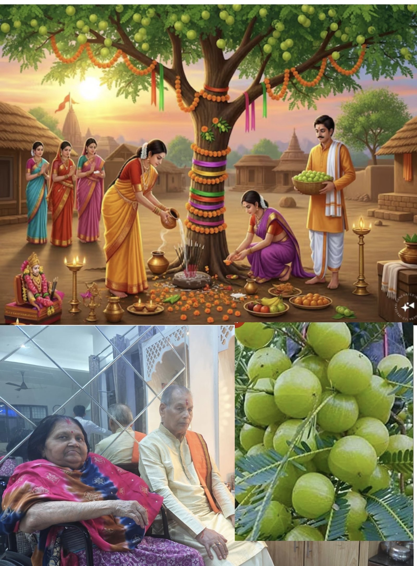 आदित्यायन साहित्य दर्पण: अक्षय नवमी- आँवला नवमी